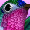 Hummingbird